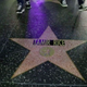 Hollywood Walk of Fame star with Tamir Rice’s name glued on it
Vimeo Screenshot